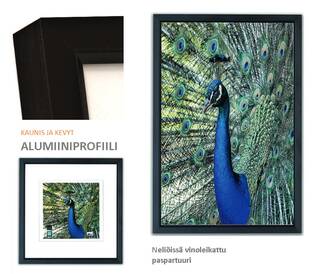 AL-61 ALUMIINIKEHYKSET valikko - TARJOUS -30% - Metalli- ja ruusukehykset, alumiinikehys - 38270 - 1