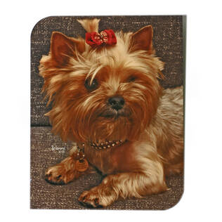 Chroma Luxe Sydney 203x254mm valkoinen metalli - Poistoeriä - 26980 - 1