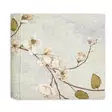 Jardin Cream kukka-albumi 24x24 cm, 40 sivua lahjakotelossa - Designalbumit - 42900 - 2