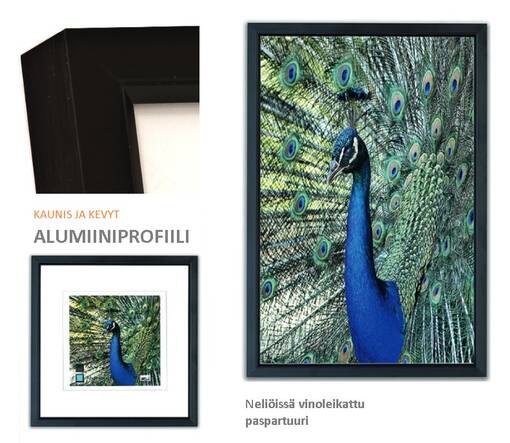 AL-61 ALUMIINIKEHYKSET valikko - TARJOUS -30% - Metalli- ja ruusukehykset, alumiinikehys - 38270 - 1