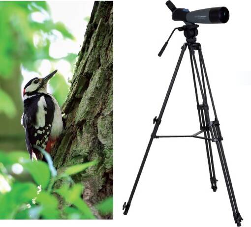 DÖRR DV-1980 PRO videojalusta , 4,7kg - tilaustuote - Kamerajalustat ja jalustalaukut - 35903 - 1