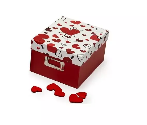 Fotoboksi Wild Love - punainen 700:lle kuvalle - Hääalbumit ja polttarialbumit - 42545 - 1