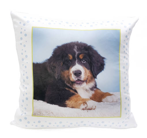 Tyynyliina, vetoketjullinen, 40x40cm yleismalli - Tekstiilit sublimaatiopainatukseen - 26336 - 1