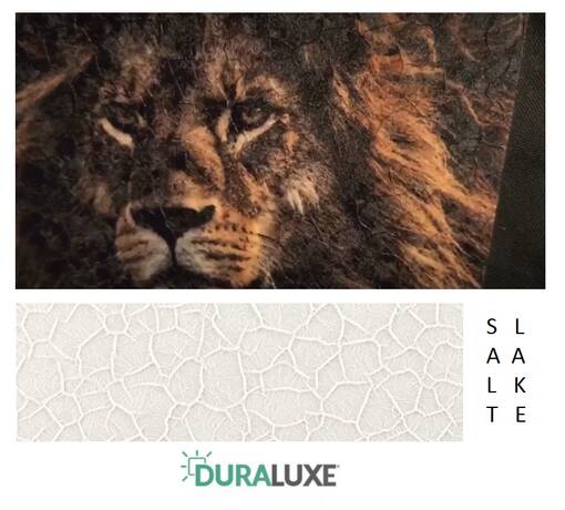 Duraluxe Salt Lake 20x28 valkoinen - sisäkäyttöön - Ulkokyltit sublimaatiopainatukseen - 38677 - 1