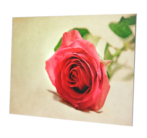 HELMIÄIS LAMINOINTI- SUOJAKALVOT - Kaksipuoleiset liimakalvot, suojakalvot - 36617 - 1