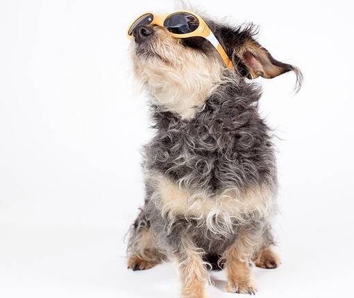 Savage taustakartonki Pure White 2,72x11m (puhtaan valkoinen) - Savage taustakartongit - 39027 - 1