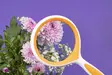 Piilotettu DÖRR Suurennuslasi HL-2 12kpl 3 kokoa - Suurennuslasit ja luupit - 38758 - 8