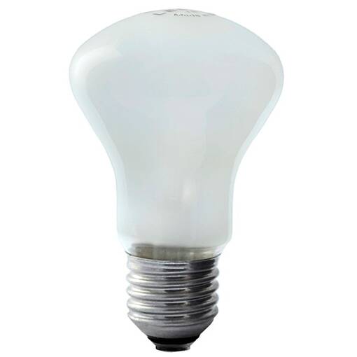 Elinchrome 100W, 196V, E27 ohjausvalo - Polttimot studiovaloihin projektoreihin - 27659 - 1